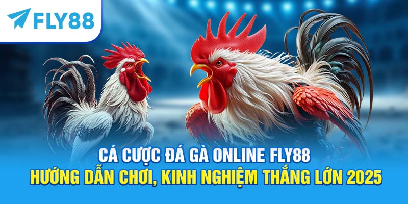 Cá cược đá gà online Fly88