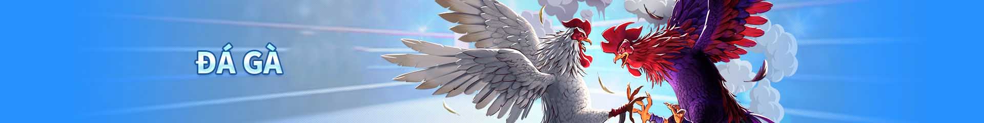 Chào mừng đến với chuyên mục Đá gà của Fly88