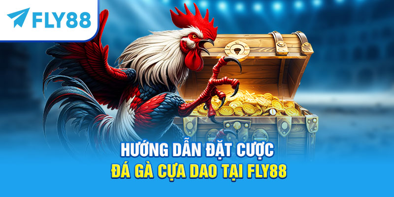 Hướng dẫn đặt cược đá gà cựa dao tại Fly88