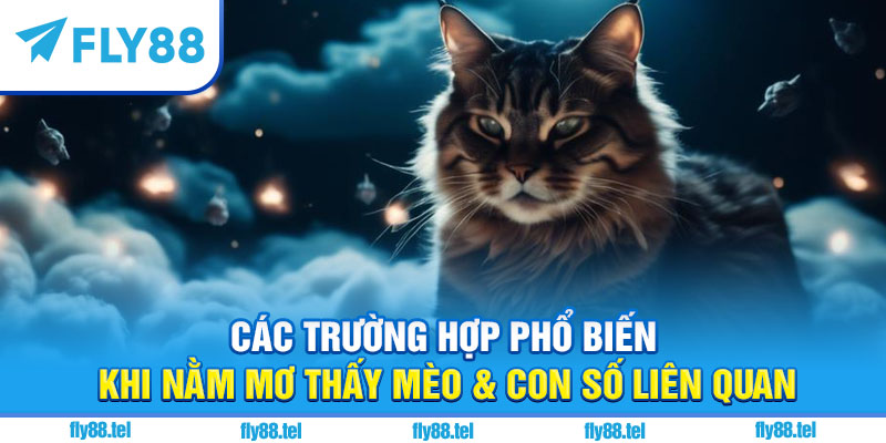 Các trường hợp phổ biến khi nằm mơ thấy mèo & con số liên quan