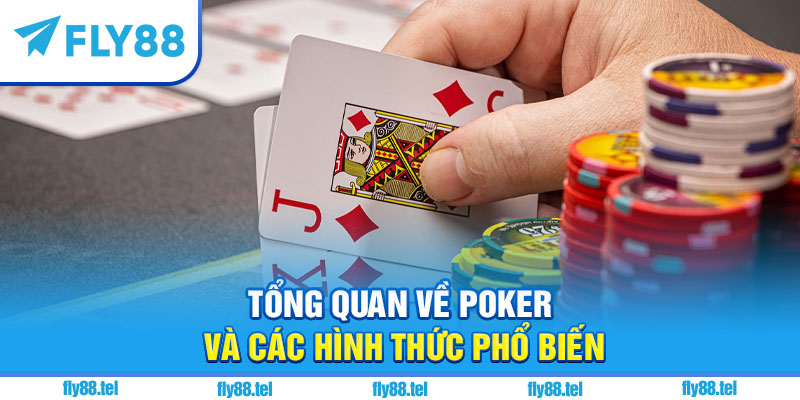 Tổng quan về poker và các hình thức phổ biến